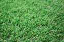 Sztuczna trawa całoroczna,do ogrodu. 40mm wysokości